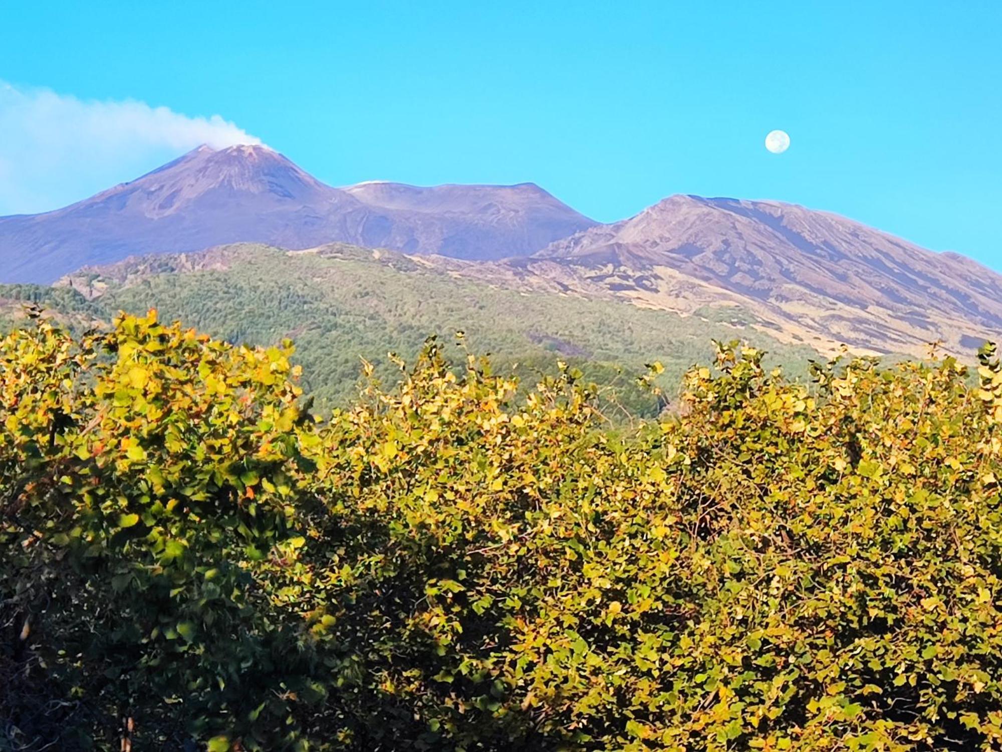 Feudo Magazzeni Villa SantʼAlfio Esterno foto