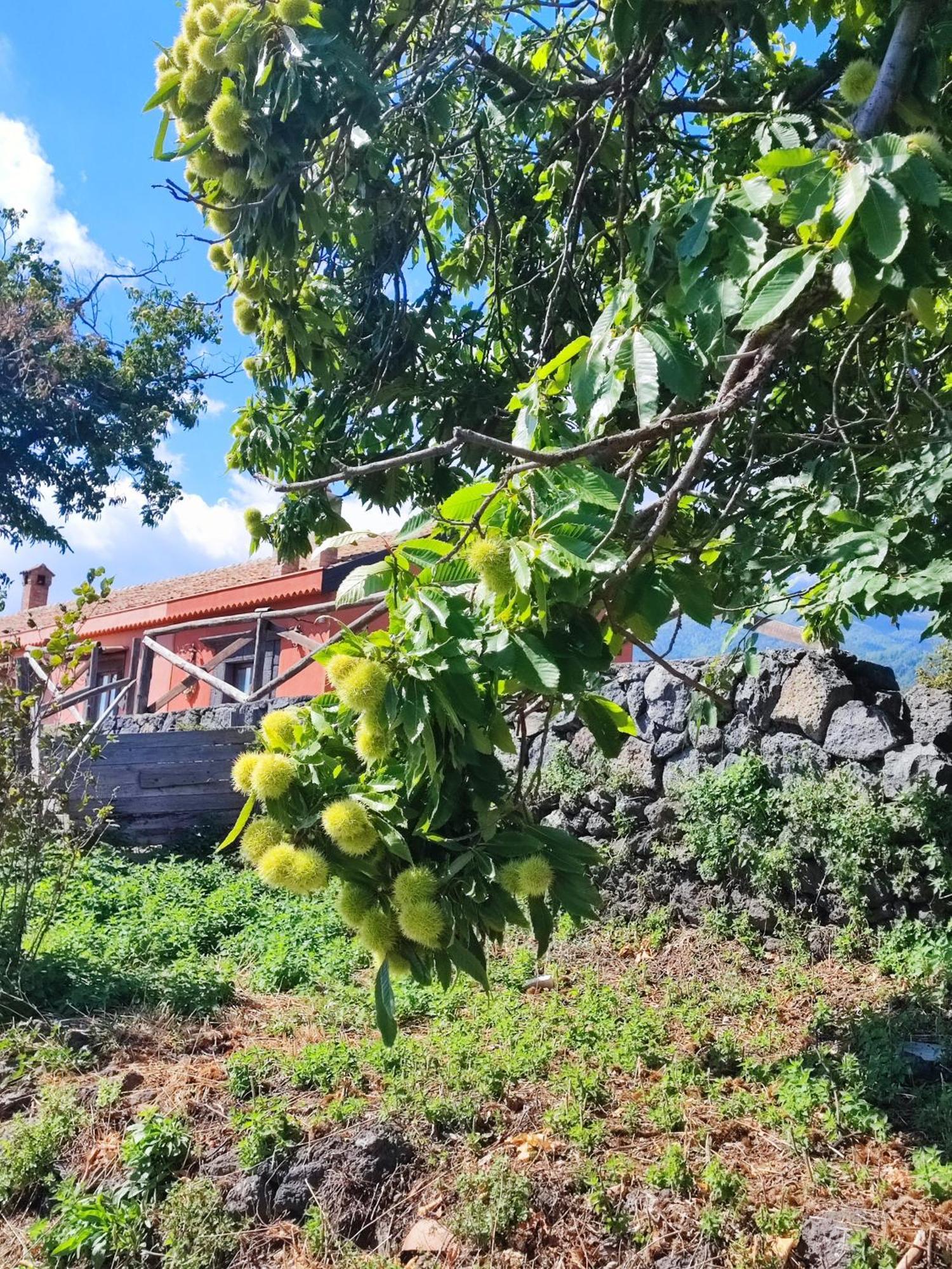 Feudo Magazzeni Villa SantʼAlfio Esterno foto